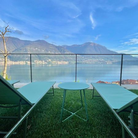 Il Noce Lake View Apartment Lezzeno Dış mekan fotoğraf