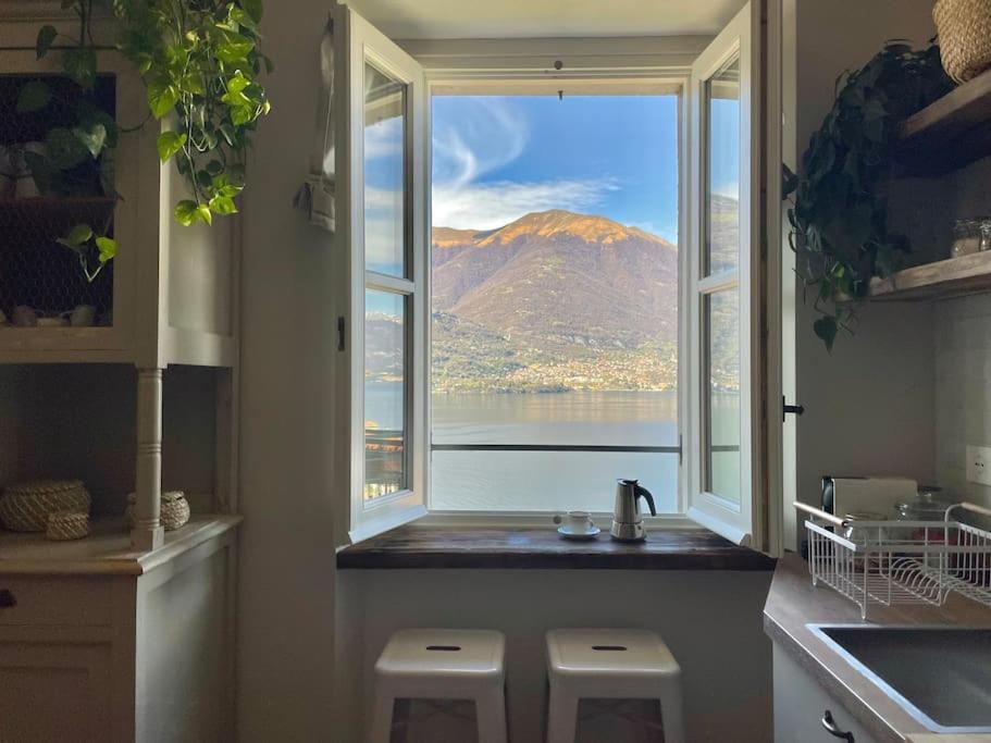 Il Noce Lake View Apartment Lezzeno Dış mekan fotoğraf